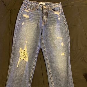 Vervet Jeans from VICI